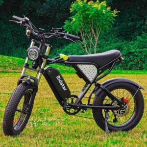 Electric Motorcycle Ridstar Q20 Dual motor 52V2000W40AH battery E-Bike 20*4 inch tires Mountain off-road riding Electric bicycle
